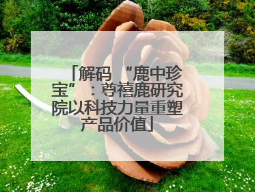 解码 “鹿中珍宝”：尊禧鹿研究院以科技力量重塑产品价值