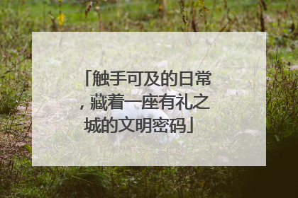 触手可及的日常，藏着一座有礼之城的文明密码