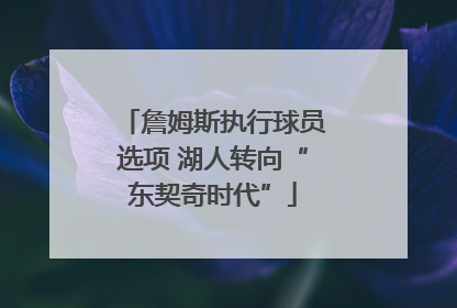 詹姆斯执行球员选项 湖人转向“东契奇时代”