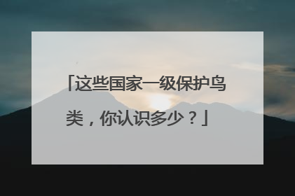 这些国家一级保护鸟类，你认识多少？