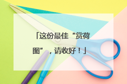 这份最佳“赏荷图”，请收好！