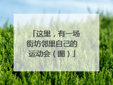 这里，有一场街坊邻里自己的运动会（图）