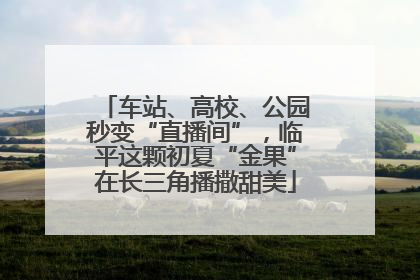车站、高校、公园秒变“直播间”，临平这颗初夏“金果”在长三角播撒甜美