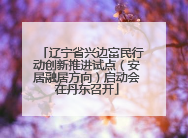 辽宁省兴边富民行动创新推进试点（安居融居方向）启动会在丹东召开