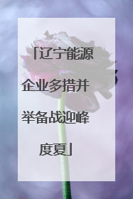 辽宁能源企业多措并举备战迎峰度夏