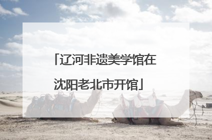 辽河非遗美学馆在沈阳老北市开馆