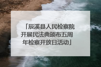 辰溪县人民检察院开展民法典颁布五周年检察开放日活动