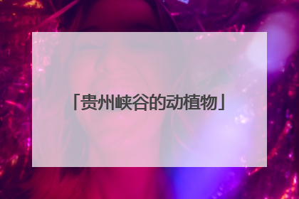 贵州峡谷的动植物