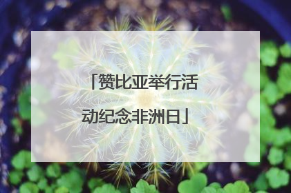 赞比亚举行活动纪念非洲日