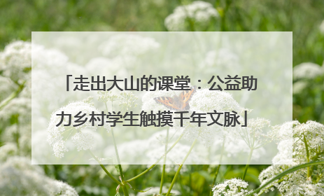 走出大山的课堂：公益助力乡村学生触摸千年文脉