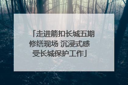 走进箭扣长城五期修缮现场 沉浸式感受长城保护工作