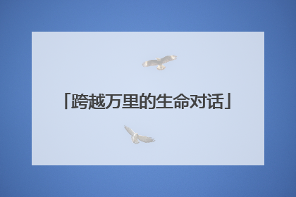 跨越万里的生命对话
