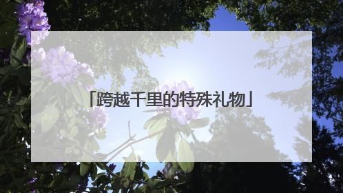 跨越千里的特殊礼物