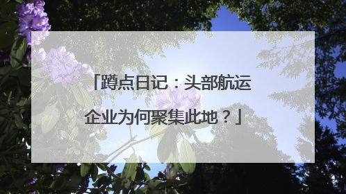 蹲点日记：头部航运企业为何聚集此地？