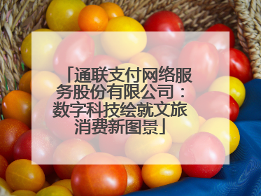通联支付网络服务股份有限公司：数字科技绘就文旅消费新图景