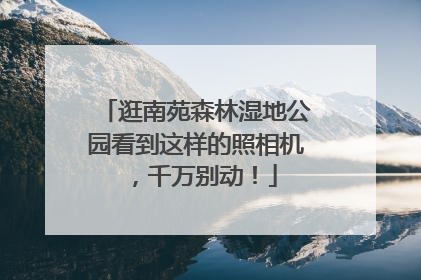 逛南苑森林湿地公园看到这样的照相机，千万别动！