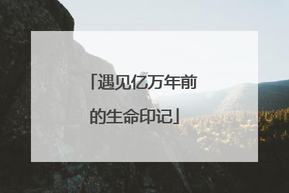 遇见亿万年前的生命印记