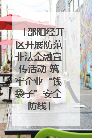 邵阳经开区开展防范非法金融宣传活动 筑牢企业“钱袋子”安全防线