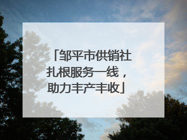 邹平市供销社扎根服务一线，助力丰产丰收