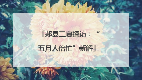 郏县三夏探访：“五月人倍忙”新解