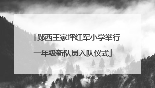 郧西王家坪红军小学举行一年级新队员入队仪式