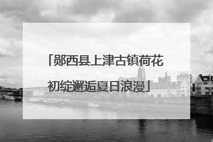 郧西县上津古镇荷花初绽邂逅夏日浪漫