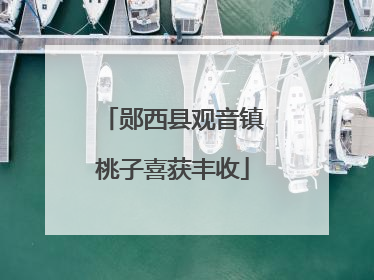 郧西县观音镇桃子喜获丰收