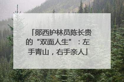 郧西护林员陈长贵的“双面人生”：左手青山，右手亲人