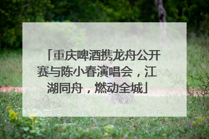 重庆啤酒携龙舟公开赛与陈小春演唱会，江湖同舟，燃动全城