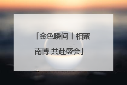 金色瞬间丨相聚南博 共赴盛会