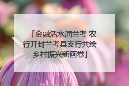 金融活水润兰考 农行开封兰考县支行共绘乡村振兴新画卷