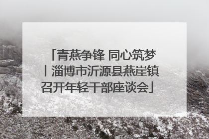 青燕争锋 同心筑梦丨淄博市沂源县燕崖镇召开年轻干部座谈会