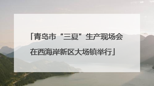 青岛市“三夏”生产现场会在西海岸新区大场镇举行