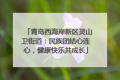 青岛西海岸新区灵山卫街道：民族团结心连心，健康快乐共成长