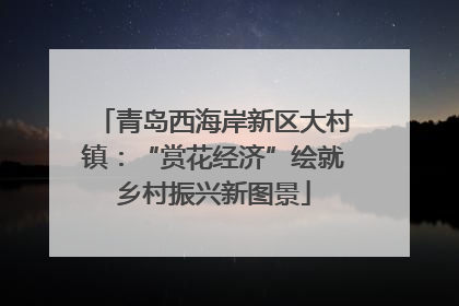 青岛西海岸新区大村镇：“赏花经济”绘就乡村振兴新图景