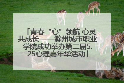 青春“心”领航 心灵共成长——滁州城市职业学院成功举办第二届5.25心理嘉年华活动