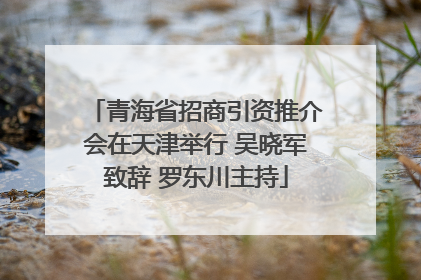 青海省招商引资推介会在天津举行 吴晓军致辞 罗东川主持