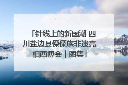 针线上的新国潮 四川盐边县傈僳族非遗亮相西博会｜图集