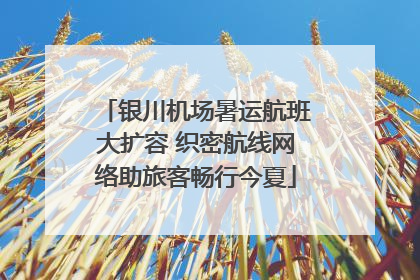 银川机场暑运航班大扩容 织密航线网络助旅客畅行今夏