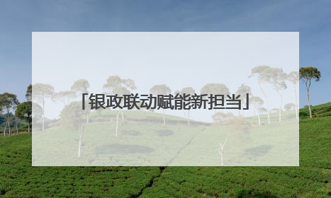 银政联动赋能新担当