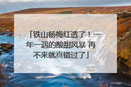 铁山杨梅红透了！一年一遇的酸甜风暴 再不来就真错过了
