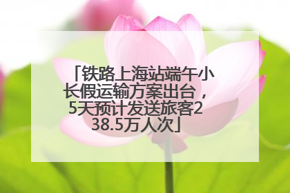 铁路上海站端午小长假运输方案出台，5天预计发送旅客238.5万人次
