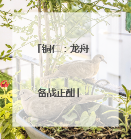 铜仁：龙舟备战正酣
