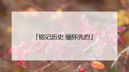 铭记历史 缅怀先烈
