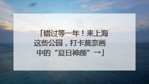 错过等一年！来上海这些公园，打卡莫奈画中的“夏日神颜”→