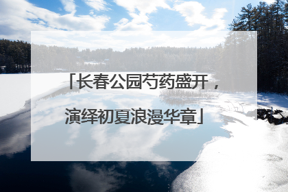 长春公园芍药盛开，演绎初夏浪漫华章