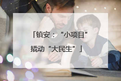 镇安：“小项目”撬动“大民生”