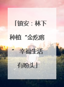 镇安：林下种植“金疙瘩” 幸福生活有盼头