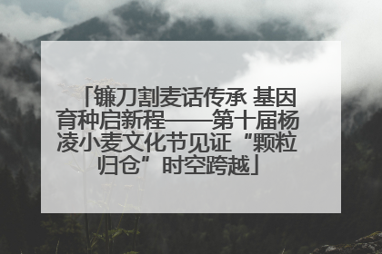镰刀割麦话传承 基因育种启新程——第十届杨凌小麦文化节见证“颗粒归仓”时空跨越