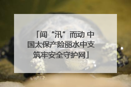 闻“汛”而动 中国太保产险丽水中支筑牢安全守护网